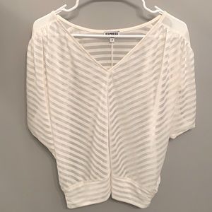 Express Sheer Blouson Top